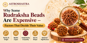 uploads/blog/63202094453816a0c61a0bc0efexpensive rudraksha.png